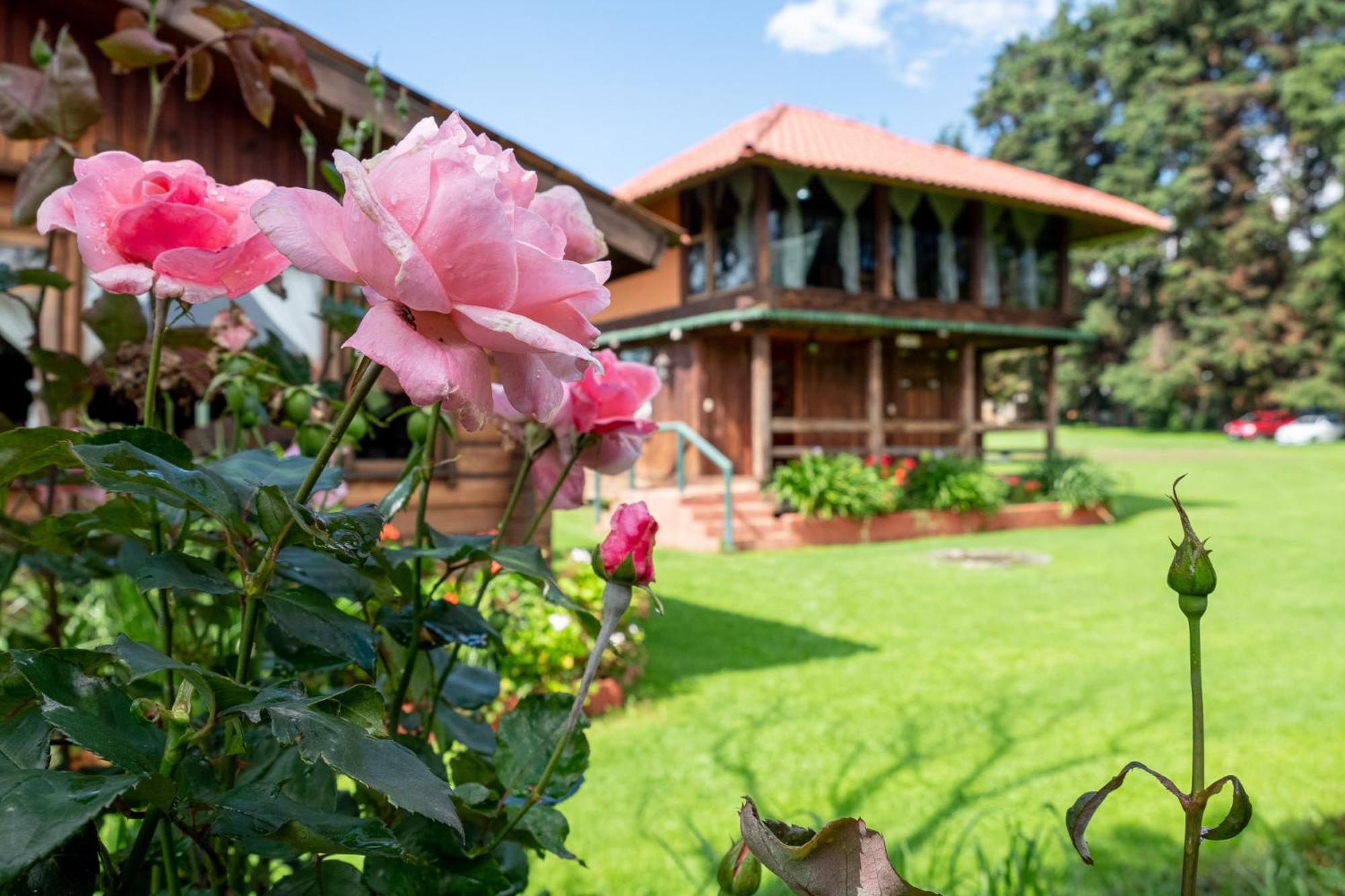 Zirahuen Forest And Resort Экстерьер фото